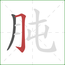 肫的笔顺第2画:横折钩 肫的笔顺第2画:横折钩