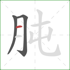 肫的笔顺第3画:横 肫的笔顺第3画:横