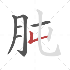 肫的笔顺第6画:竖折 肫的笔顺第6画:竖折