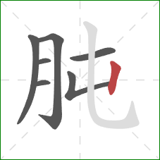 肫的笔顺第7画:竖 肫的笔顺第7画:竖