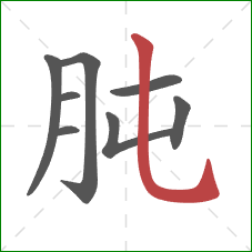 肫的笔顺第8画:竖弯钩 肫的笔顺第8画:竖弯钩