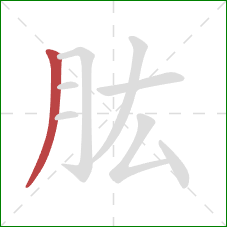 肱的笔顺第1画：撇
