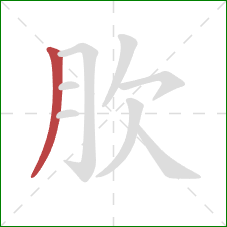 肷的笔顺第1画：撇