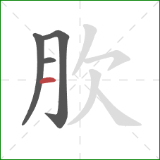 肷的笔顺第4画：横