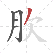 肷的笔顺第5画：撇