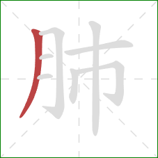 肺的笔顺第1画：撇