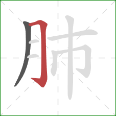 肺的笔顺第2画：横折钩