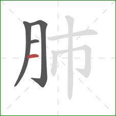 肺的笔顺第4画：横