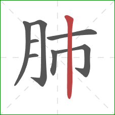 肺的笔顺第8画：竖