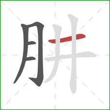 肼的笔顺第5画：横