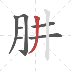 肼的笔顺第7画：撇