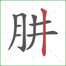 肼的笔顺第8画：竖