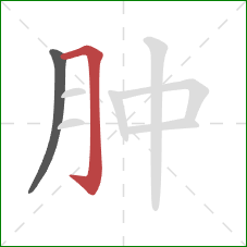 肿的笔顺第2画：横折钩