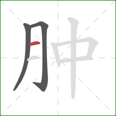 肿的笔顺第3画：横