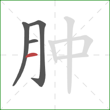 肿的笔顺第4画：横