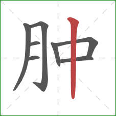 肿的笔顺第8画：竖