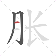 胀的笔顺第3画：横