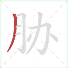 胁的笔顺第1画：撇