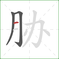 胁的笔顺第3画：横