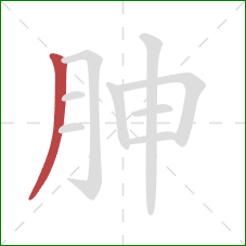 胂的笔顺第1画：撇