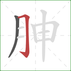 胂的笔顺第2画：横折钩