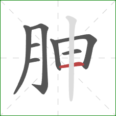 胂的笔顺第8画：横