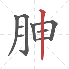 胂的笔顺第9画：竖