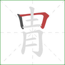 胄的笔顺第2画:横折 胄的笔顺第2画:横折