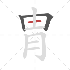 胄的笔顺第3画:横 胄的笔顺第3画:横