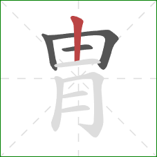 胄的笔顺第4画:竖 胄的笔顺第4画:竖