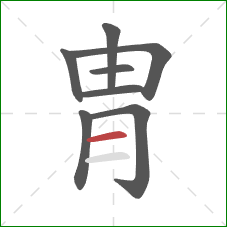 胄的笔顺第8画:横 胄的笔顺第8画:横