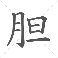 胆的部首 胆的部首