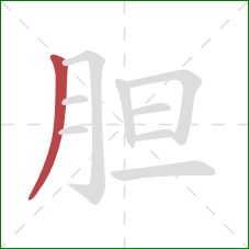 胆的笔顺第1画:撇 胆的笔顺第1画:撇