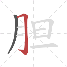 胆的笔顺第2画:横折钩 胆的笔顺第2画:横折钩