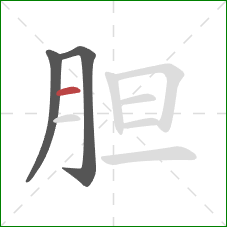 胆的笔顺第3画:横 胆的笔顺第3画:横