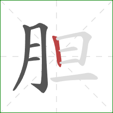 胆的笔顺第5画:竖 胆的笔顺第5画:竖
