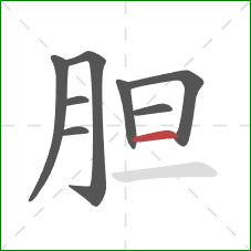 胆的笔顺第8画:横 胆的笔顺第8画:横