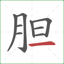 胆的笔顺第9画:横 胆的笔顺第9画:横