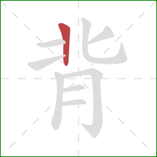 背的笔顺第1画：竖