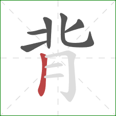 背的笔顺第6画：竖