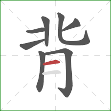 背的笔顺第8画：横