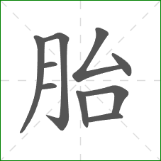 胎的部首 胎的部首