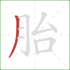 胎的笔顺第1画:撇 胎的笔顺第1画:撇