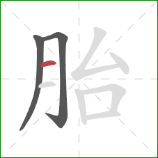 胎的笔顺第3画:横 胎的笔顺第3画:横