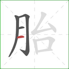 胎的笔顺第4画:横 胎的笔顺第4画:横