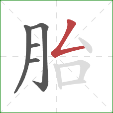 胎的笔顺第5画:撇折 胎的笔顺第5画:撇折