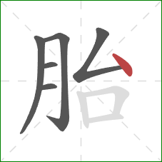 胎的笔顺第6画:点 胎的笔顺第6画:点