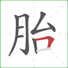 胎的笔顺第8画:横折 胎的笔顺第8画:横折