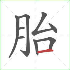 胎的笔顺第9画:横 胎的笔顺第9画:横