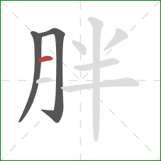 胖的笔顺第3画：横